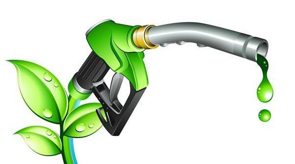 biofuel production